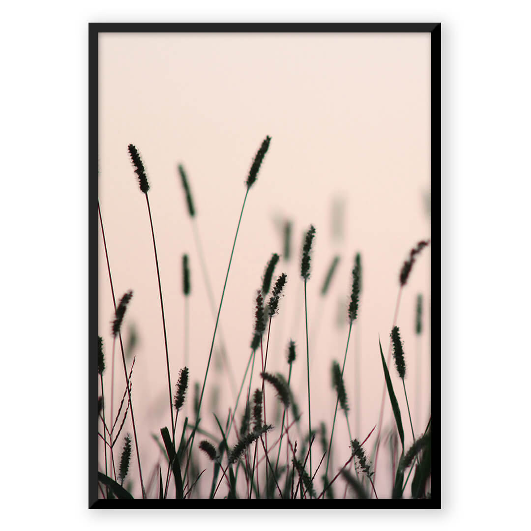 LunaLure Traumlicht Projektor | Für immer träumen | Sternenprojektion | Atmosphärisches Nachtlicht