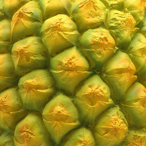 TropiLume Gartenleuchte | Outdoor Solarlicht | Wetterfest | Ananas LED Dekoleuchte