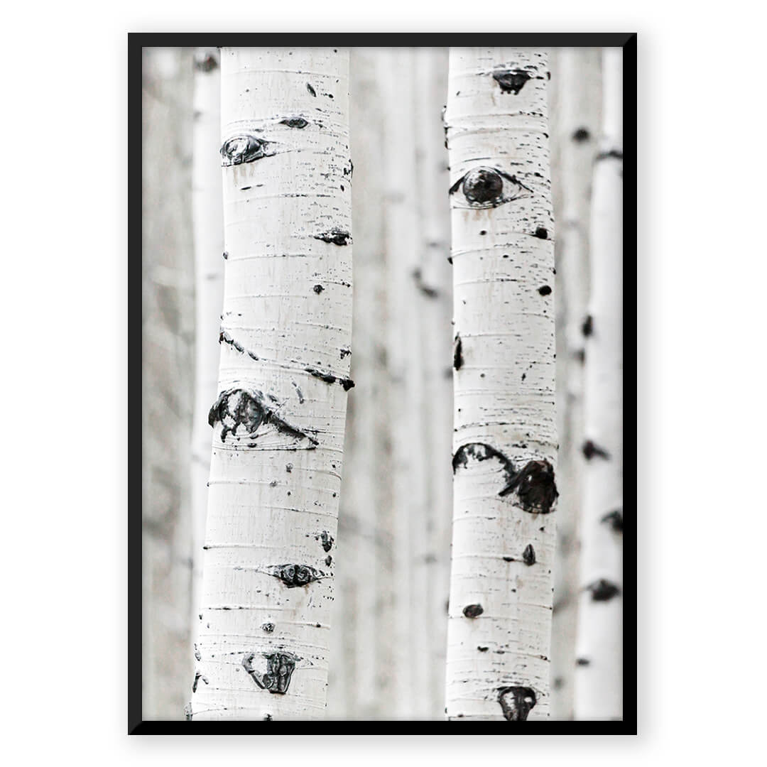 LunaLure Traumlicht Projektor | Für immer träumen | Sternenprojektion | Atmosphärisches Nachtlicht