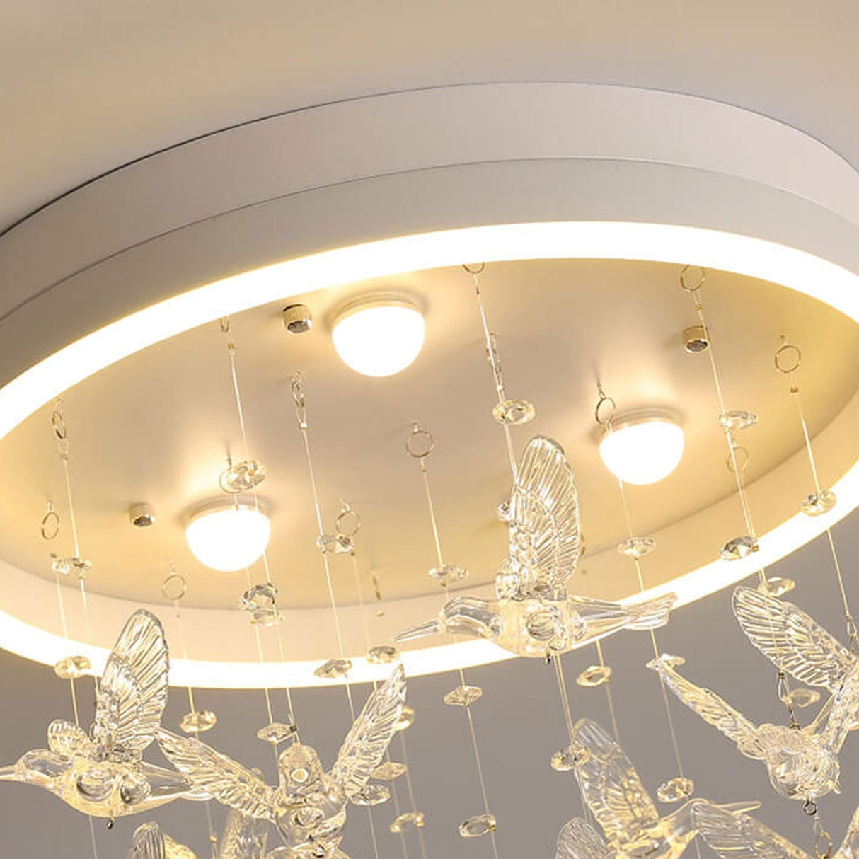 Birdella LED Deckenleuchte | Modernes Design | Cartoon-Vögel & Rockmotive | Dimmbares Licht