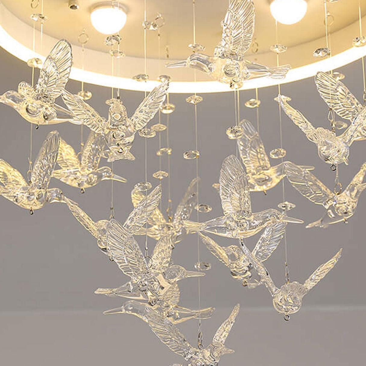 Birdella LED Deckenleuchte | Modernes Design | Cartoon-Vögel & Rockmotive | Dimmbares Licht