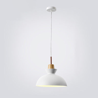 AuroraLite Nordic Pendelleuchte | Metall-Design | 1-Licht | Moderne Farboptionen