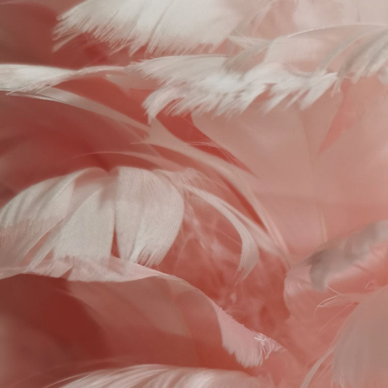 Feathora Nordic Tischlampe | Gänsefedern Design | Flamingo-Kugelstil | Elegante Nachttischbeleuchtung