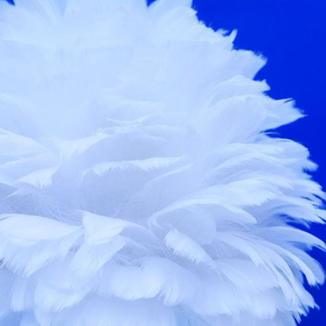 DreamaFeather Kinder Tischlampe | Kreatives Design | Einhorn & Tiermotive | Nachtlicht & Dekoration