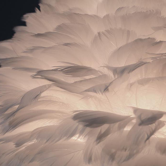 DreamaFeather Kinder Tischlampe | Kreatives Design | Einhorn & Tiermotive | Nachtlicht & Dekoration