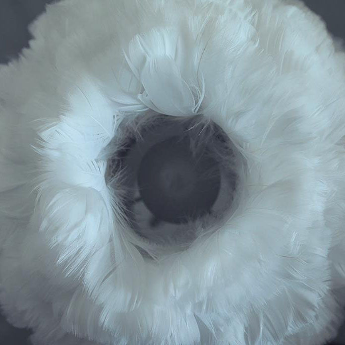 DreamaFeather Kinder Tischlampe | Kreatives Design | Einhorn & Tiermotive | Nachtlicht & Dekoration