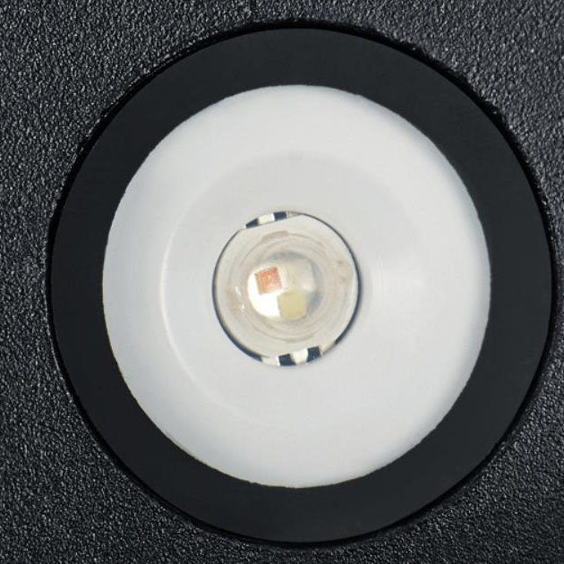 ShellBright LED Wandleuchte | Kreatives Muscheldesign | Aluminium | Wasserdicht | Außenbeleuchtung