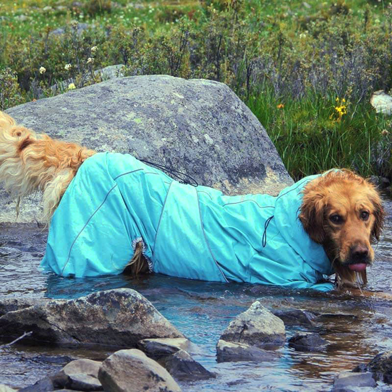 RainPup Outdoor Hunderegenjacke | Wasserdicht & Verstellbar | Perfekt für Große Hunde