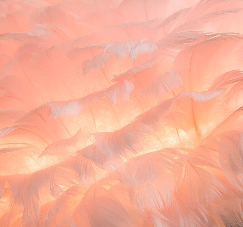 PlumeSphere Stehlampe | Elegantes Federdesign | 1-Licht Globus Stehleuchte | Moderne Beleuchtung für stilvolle Räume