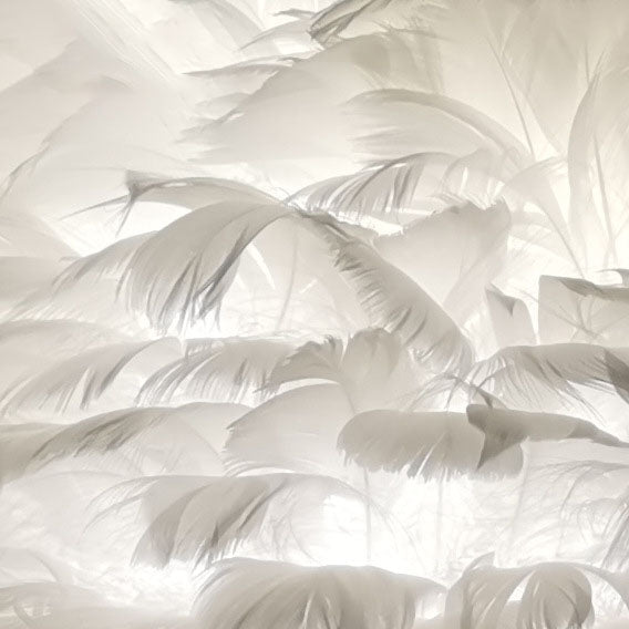 Feathora Nordic Tischlampe | Gänsefedern Design | Flamingo-Kugelstil | Elegante Nachttischbeleuchtung