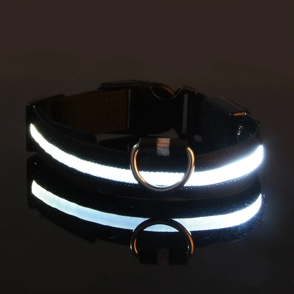 BrightPaws LED Leine und Leuchthalsband | Sicherheitsset für Hunde | Sichtbarkeit & Stil