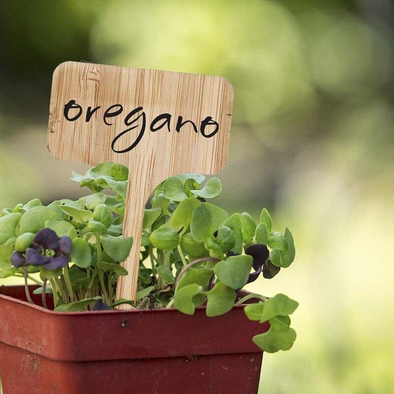 GreenLabel Holz Pflanzenschilder | Umweltfreundlich | Perfekt für Garten & Balkon | Markierungsschilder für Pflanzen