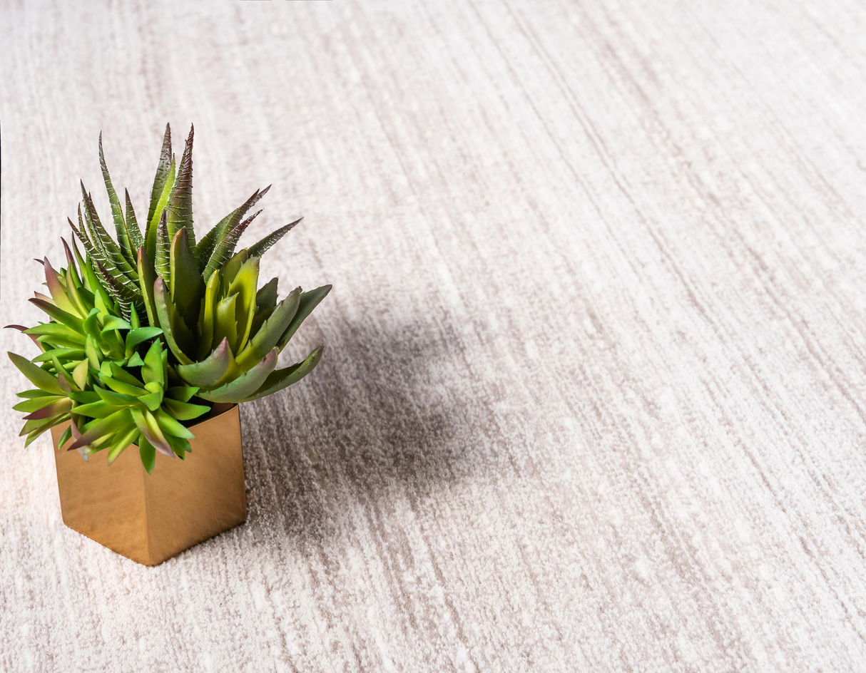 BorderLux - Moderner Teppich mit Randmuster | Zeitloses Design | Weich & Strapazierfähig