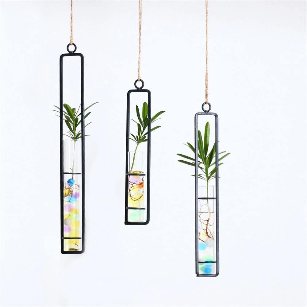 FloatTerrarium Hängendes Glas-Terrarium | Eisenhalterung | Modernes Design | Perfekt für Pflanzenvermehrung & Dekoration