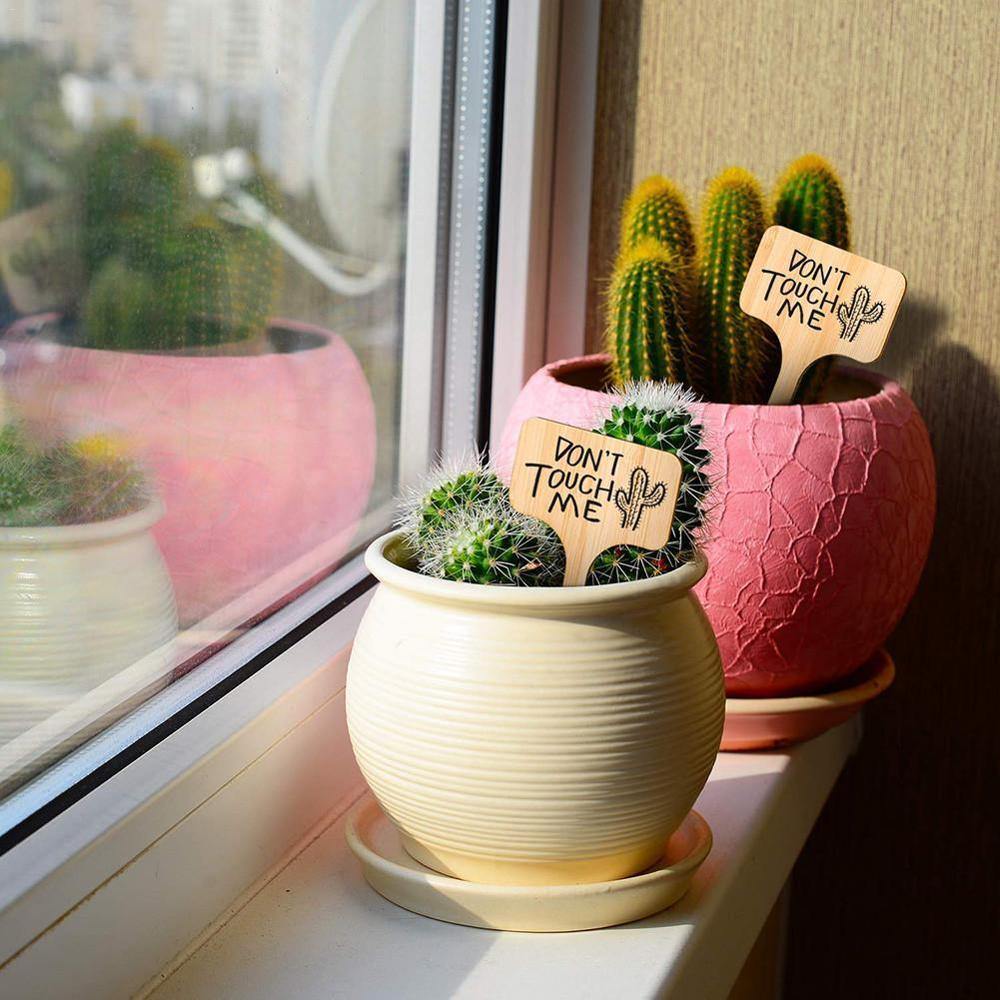 GreenLabel Holz Pflanzenschilder | Umweltfreundlich | Perfekt für Garten & Balkon | Markierungsschilder für Pflanzen