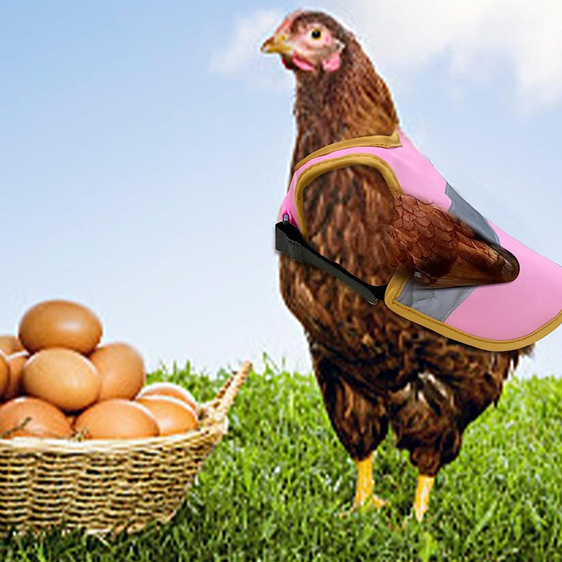 CluckSecure Verstellbarer Hühnergurt & Reflexweste | Sicherheit & Komfort für Hühner | Haustierzubehör