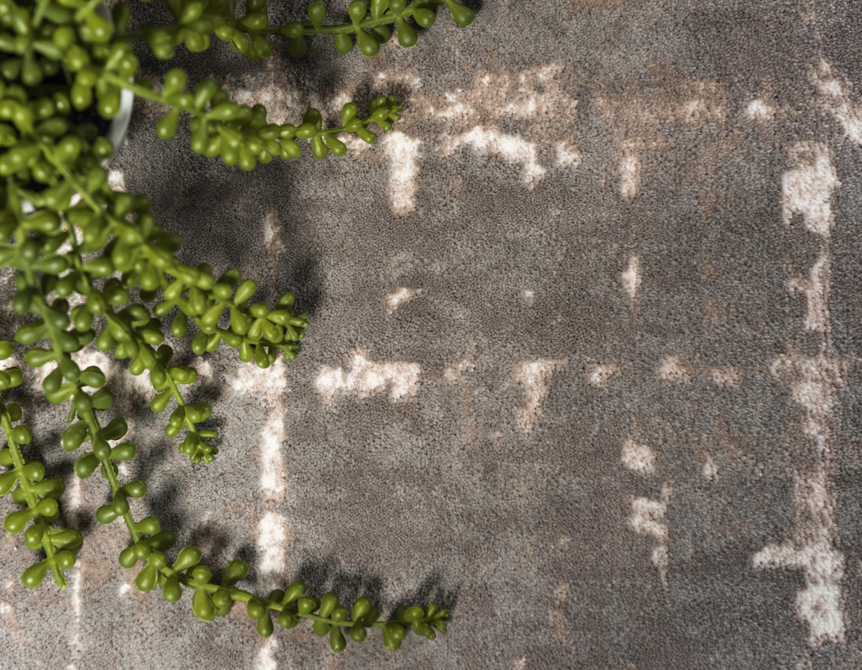 FadedLux Moderner Vintage Teppich | Weicher Bereichsteppich | Stilvolle Wohnkultur | Hochwertig und langlebig