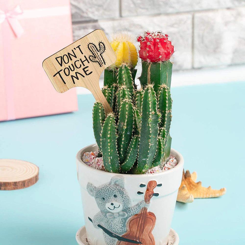 GreenLabel Holz Pflanzenschilder | Umweltfreundlich | Perfekt für Garten & Balkon | Markierungsschilder für Pflanzen