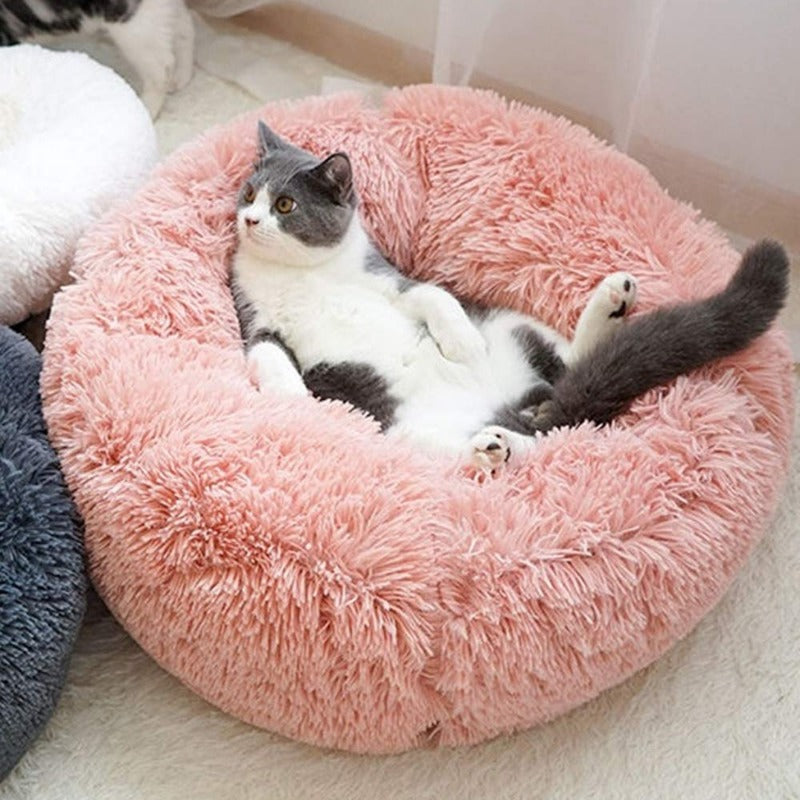 PawNest Beruhigendes Donut-Katzenbett | Rundes Plüsch Nest | Stresslindernd & Gemütlich | Perfekt für Katzen & kleine Hunde