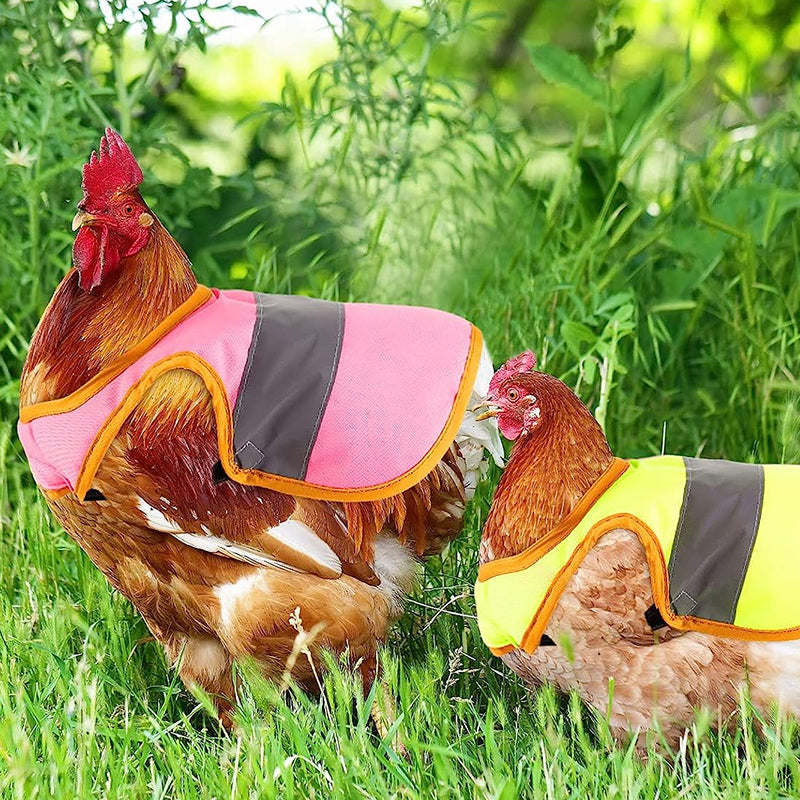 CluckSecure Verstellbarer Hühnergurt & Reflexweste | Sicherheit & Komfort für Hühner | Haustierzubehör