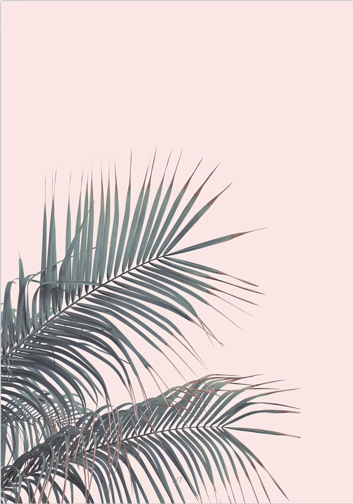 CoastalVibes Leinwand 2er-Set | Strand- und Meeresdesign | Wanddekoration für Zuhause | Zeitlose Eleganz