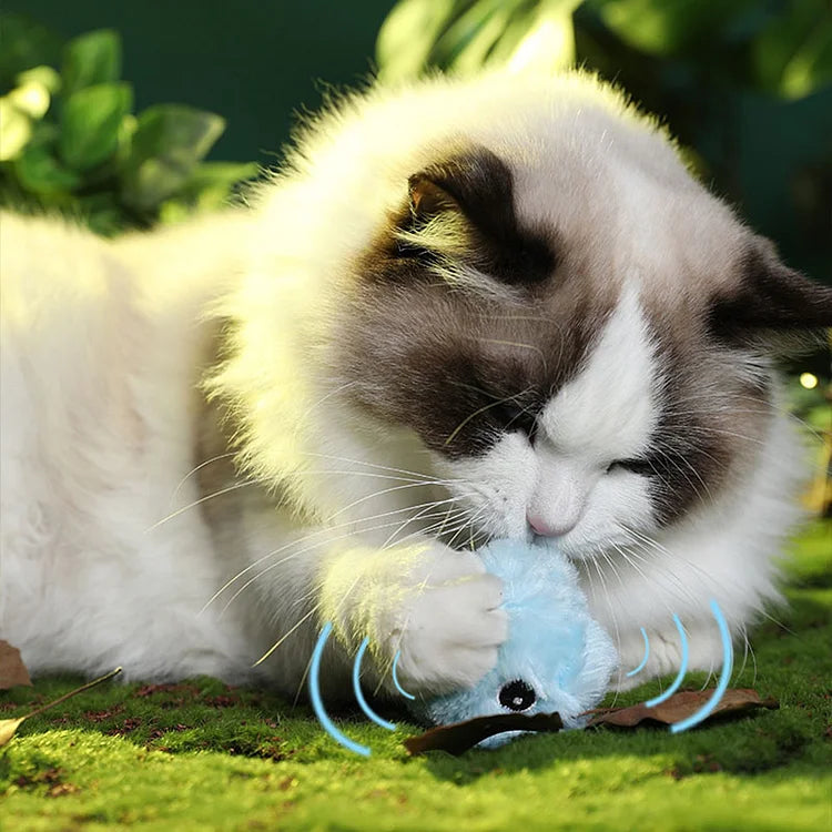 KittySphere Intelligenter Interaktiver Plüschball für Katzen | Fördert Bewegung & Spielspaß | Flauschiges Katzenspielzeug