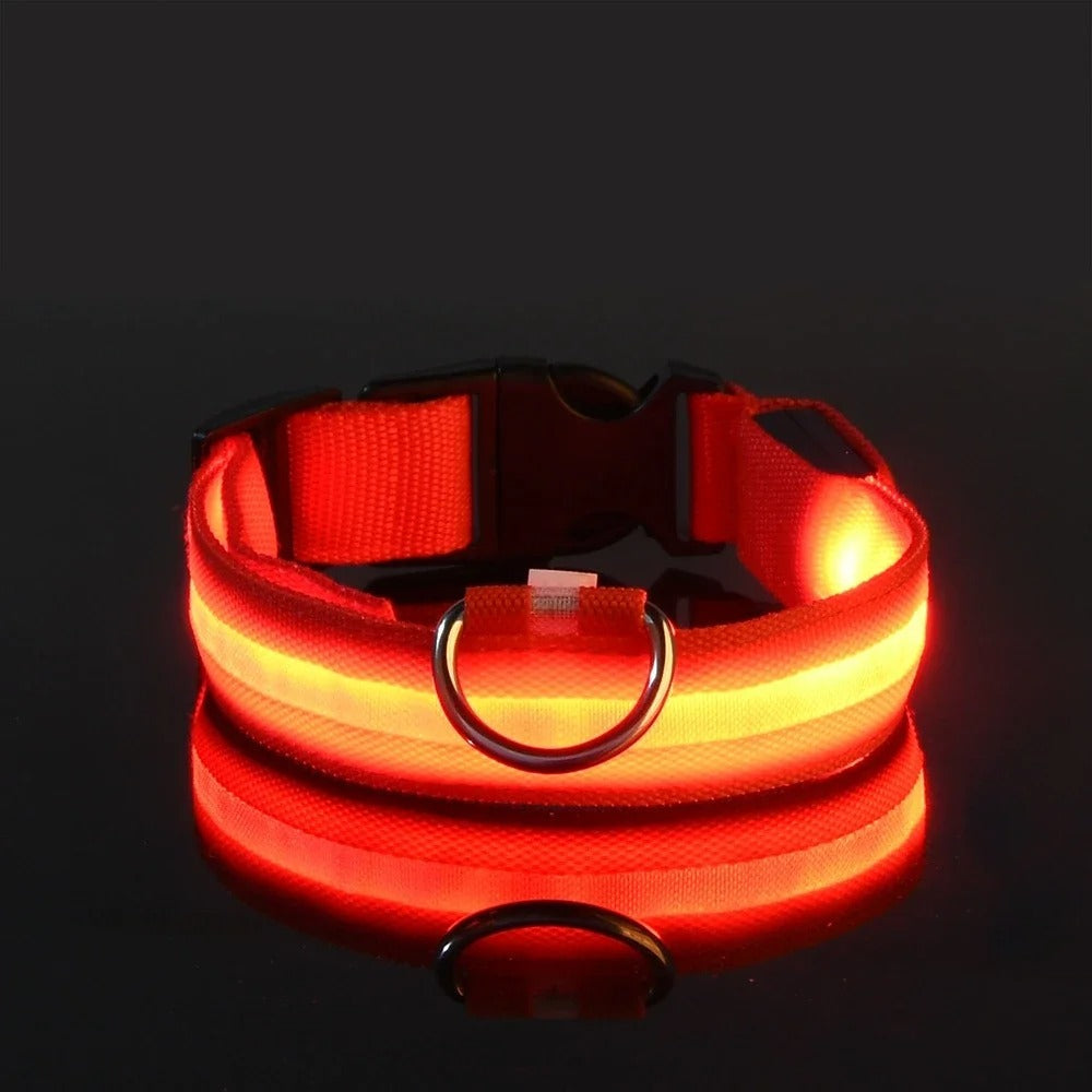 BrightPaws LED Leine und Leuchthalsband | Sicherheitsset für Hunde | Sichtbarkeit & Stil