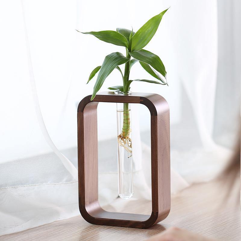 PlantFrame Holz-Glas Pflanzvase | Stilvoller Anzuchtbehälter | Perfekt für Pflanzenliebhaber & Dekoration