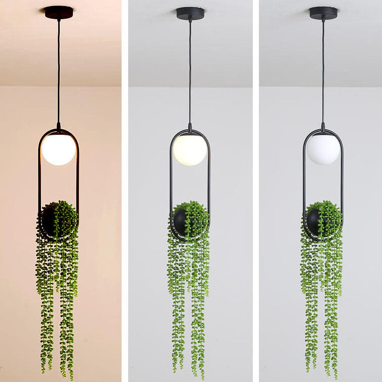 EcoOrb Glas Pendelleuchte | Pflanzenhalter Design | 1-flammige Hängeleuchte | Warmweiß & Weißlicht