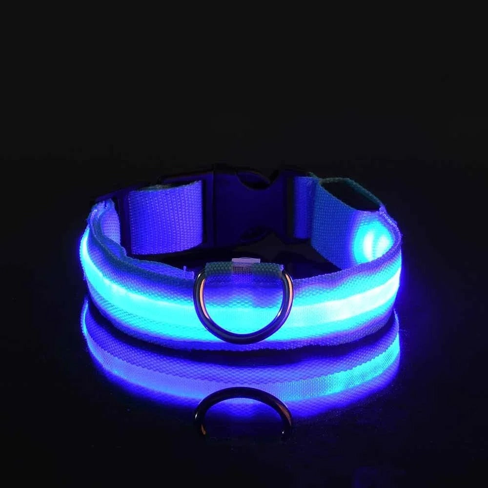 BrightPaws LED Leine und Leuchthalsband | Sicherheitsset für Hunde | Sichtbarkeit & Stil