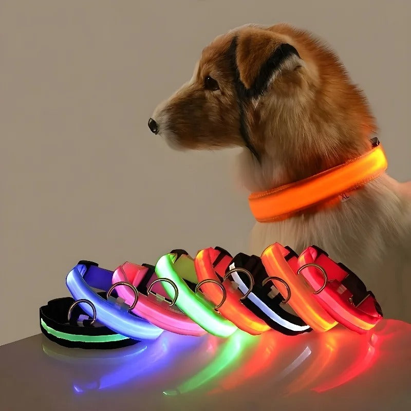 BrightPaws LED Leine und Leuchthalsband | Sicherheitsset für Hunde | Sichtbarkeit & Stil
