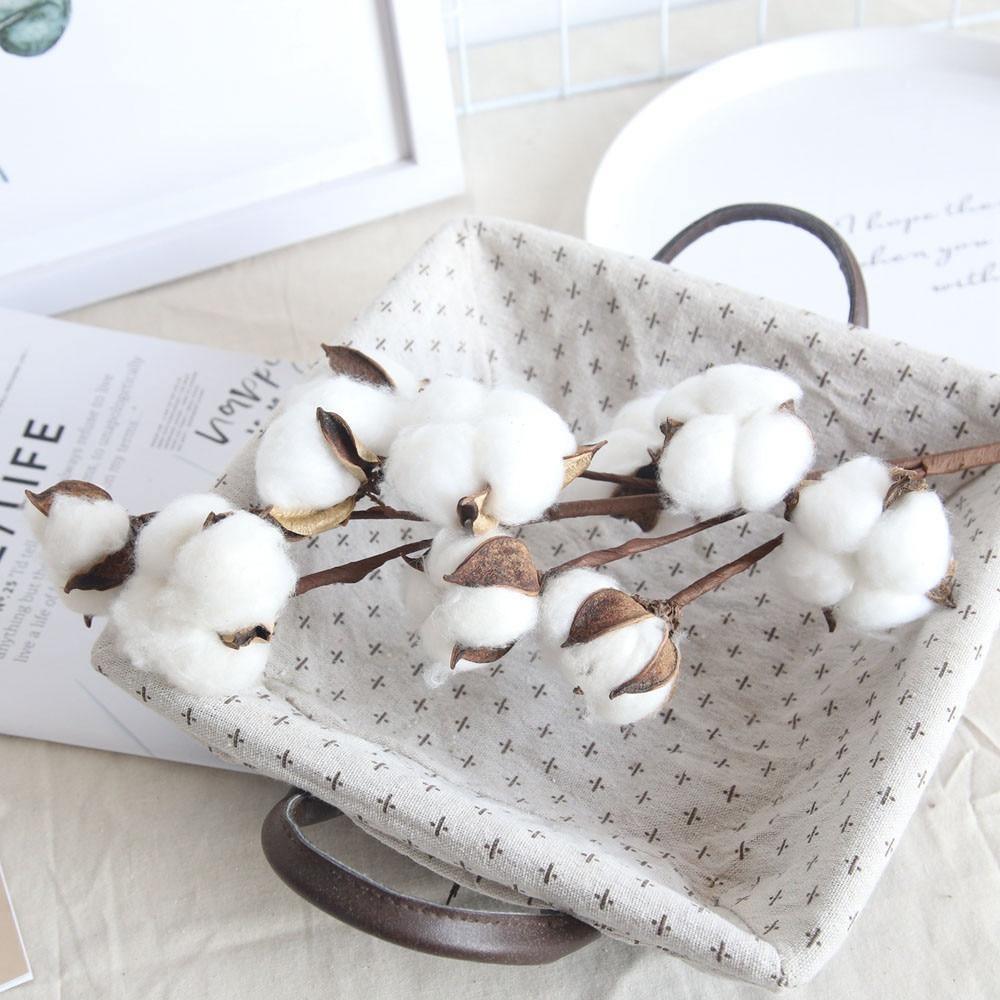 PureBranch Baumwollzweige | Natürliche Deko | Perfekt für Vasen | Zeitlose Eleganz