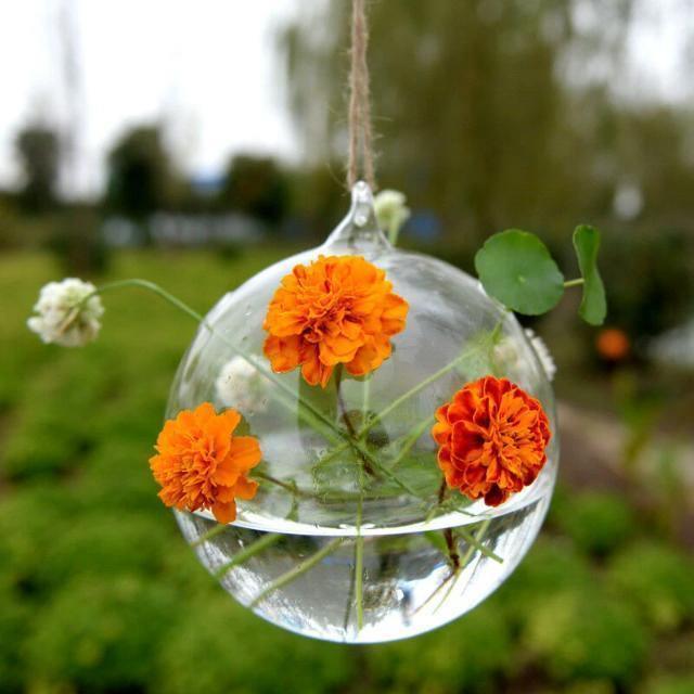 AirSphere Hängendes Glas Terrarium Vase | Dekorative Glaskugel | Pflanzengefäß für Zuhause & Büro