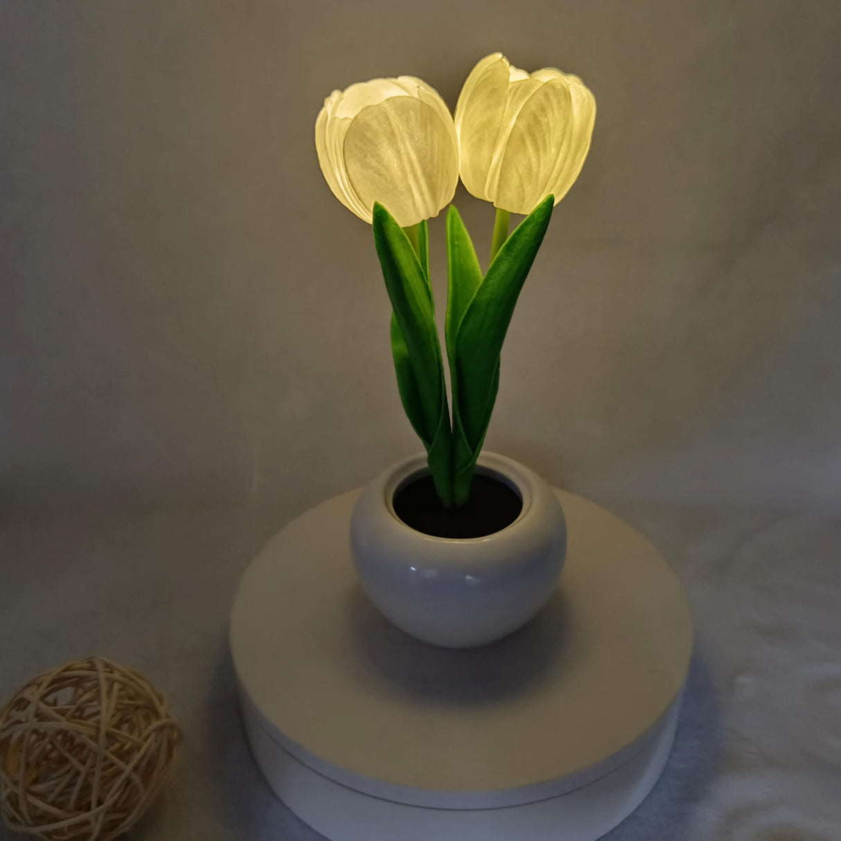 BlossomGlow LED Nachtlicht Tischlampe | Kreatives Blumen-Design | Tulpe & Pfingstrose | Stimmungslicht