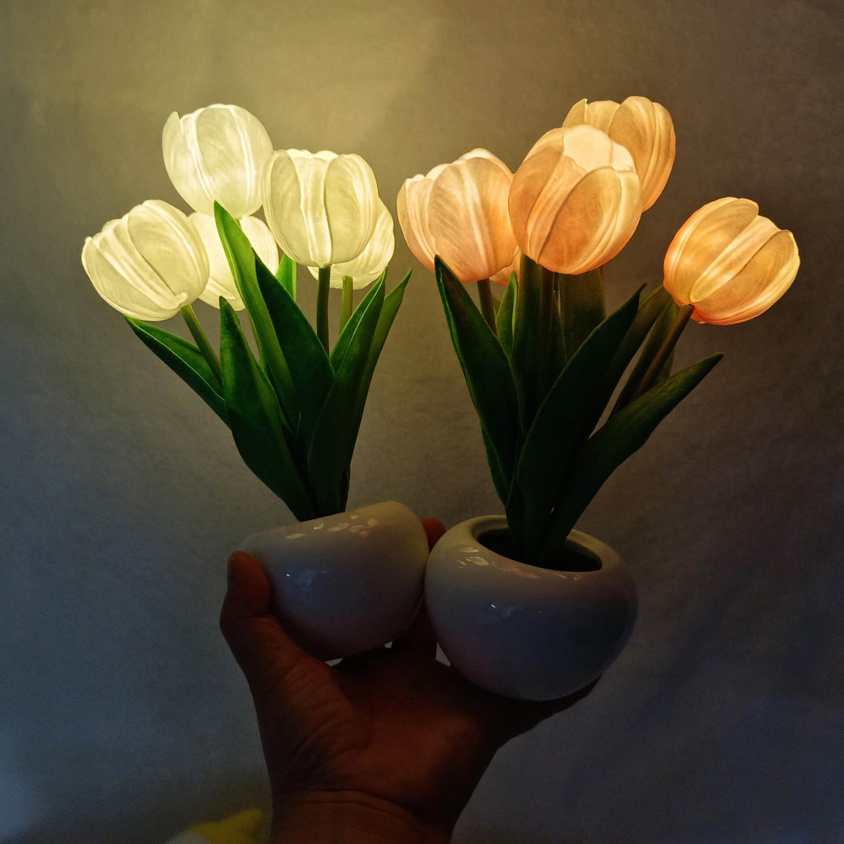 BlossomGlow LED Nachtlicht Tischlampe | Kreatives Blumen-Design | Tulpe & Pfingstrose | Stimmungslicht