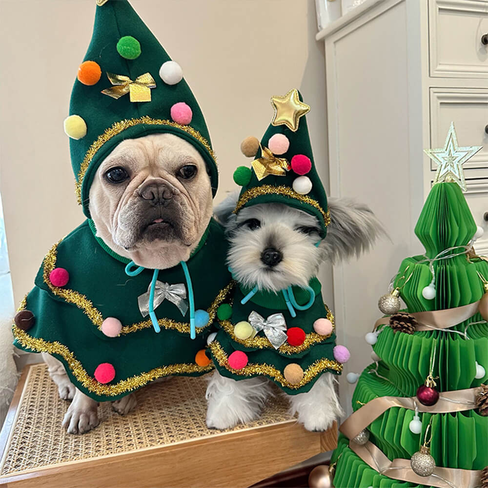 FestivePaws Weihnachtskostüm für Hunde & Katzen | Weihnachtsbaum Outfit | Hut & Umhang Set | Cosplay für Haustiere
