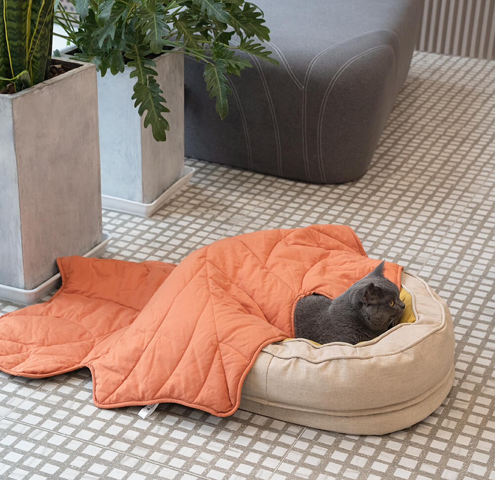SnuggleNest Orthopädisches Hundebett | Bequemer Donut-Stil | Flauschiges Design für besten Komfort