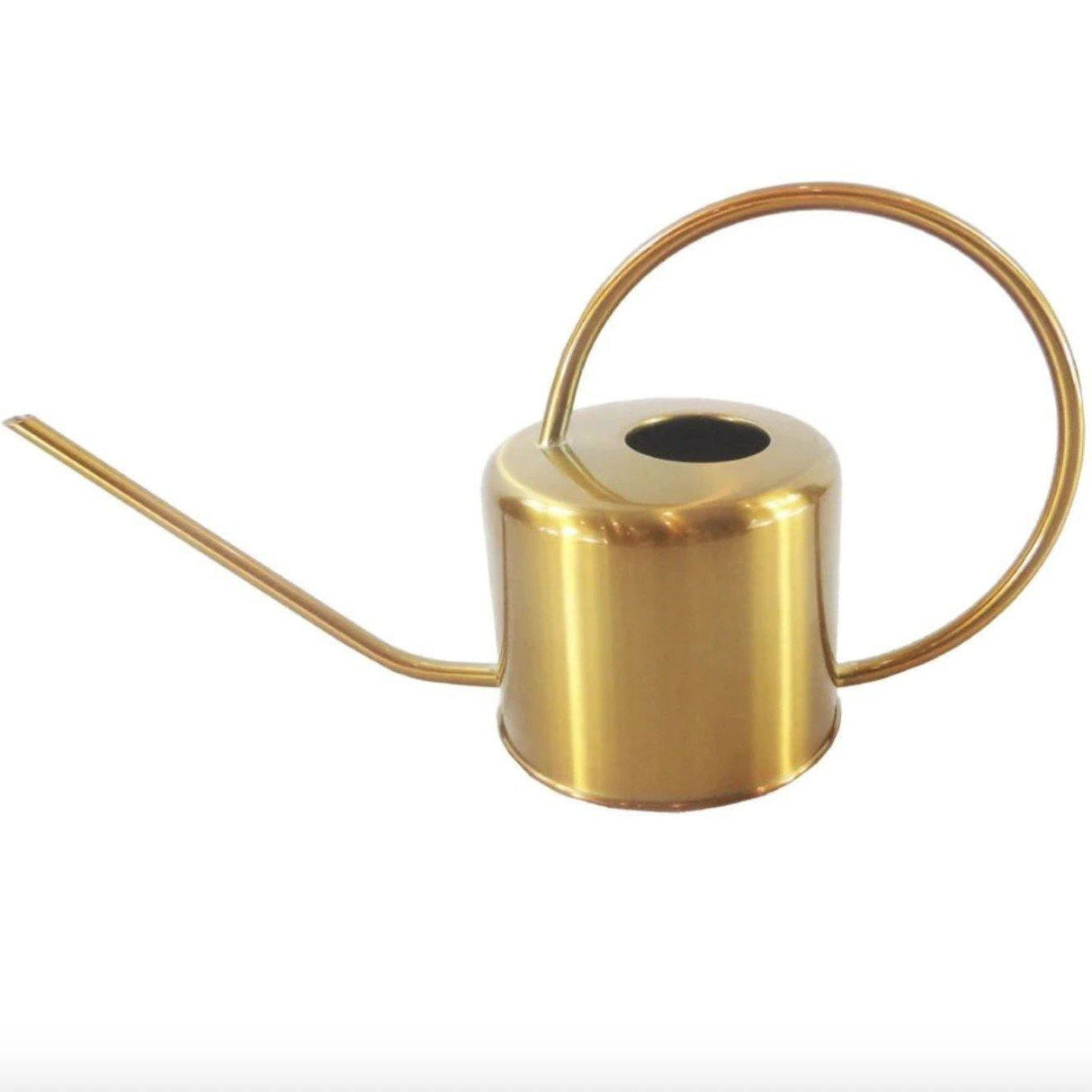 Florivis Klassische Messing-Gießkanne | Vintage-Design | Praktisch & dekorativ für Haus und Garten
