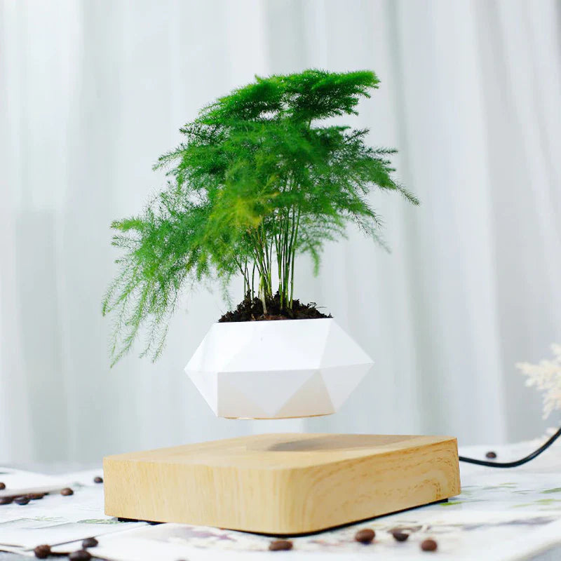 LevitateBloom Schwebender Bonsai-Topf | Magischer Luftpflanzenhalter | Dekoratives Highlight für Zuhause