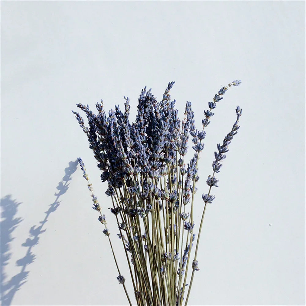 LavishBloom Natürlicher Getrockneter Lavendel | Duftendes Deko-Bündel | Entspannende Aromatherapie | Nachhaltige Dekoration