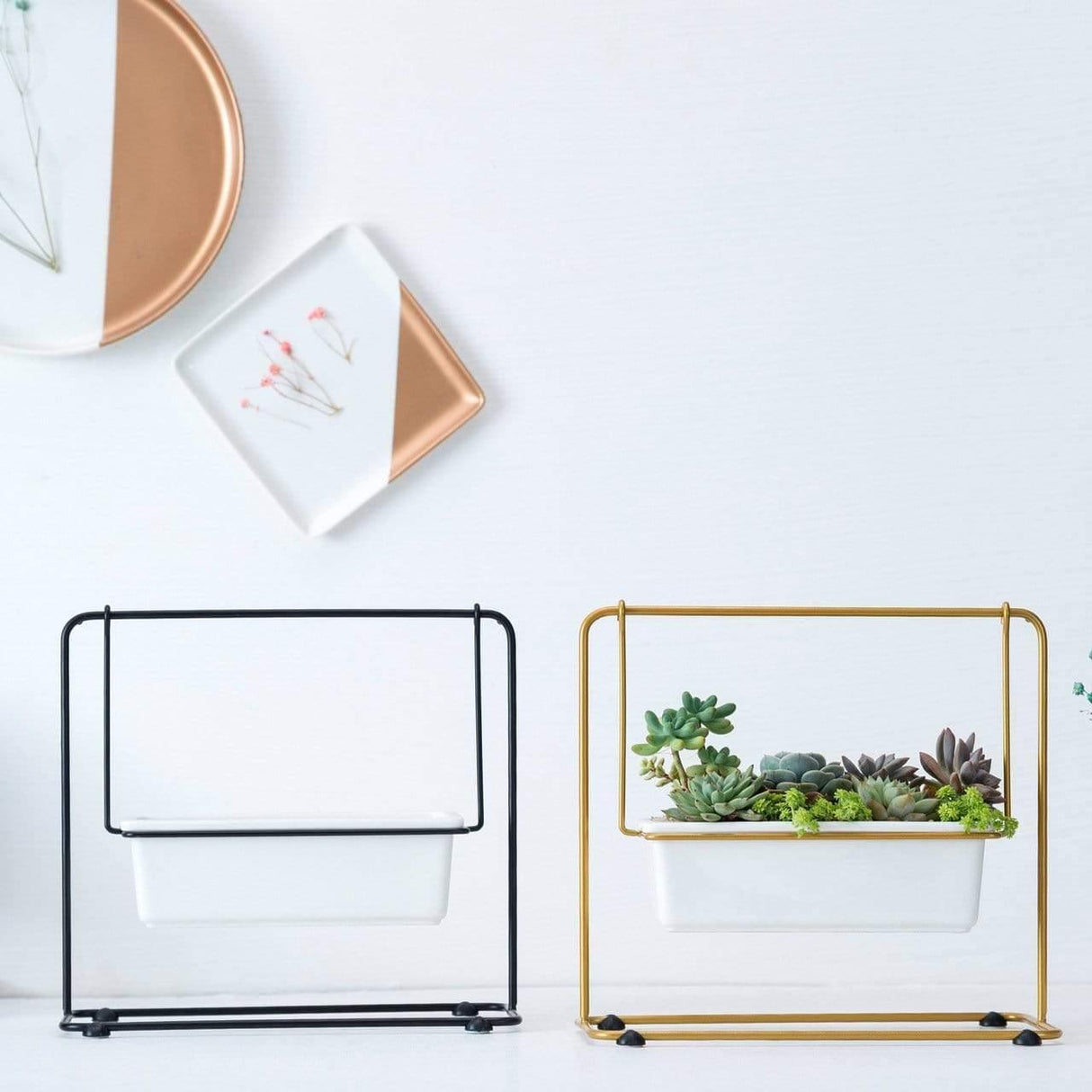 SwingFlora Sukkulenten Schwingpflanzgefäß | Elegantes Design | Gold & Schwarz | Hängende Dekoration