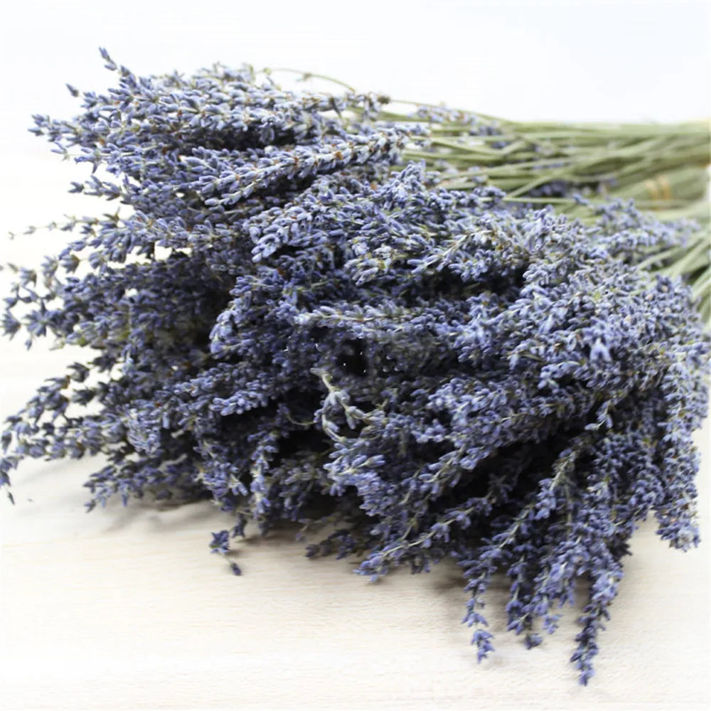 LavishBloom Natürlicher Getrockneter Lavendel | Duftendes Deko-Bündel | Entspannende Aromatherapie | Nachhaltige Dekoration