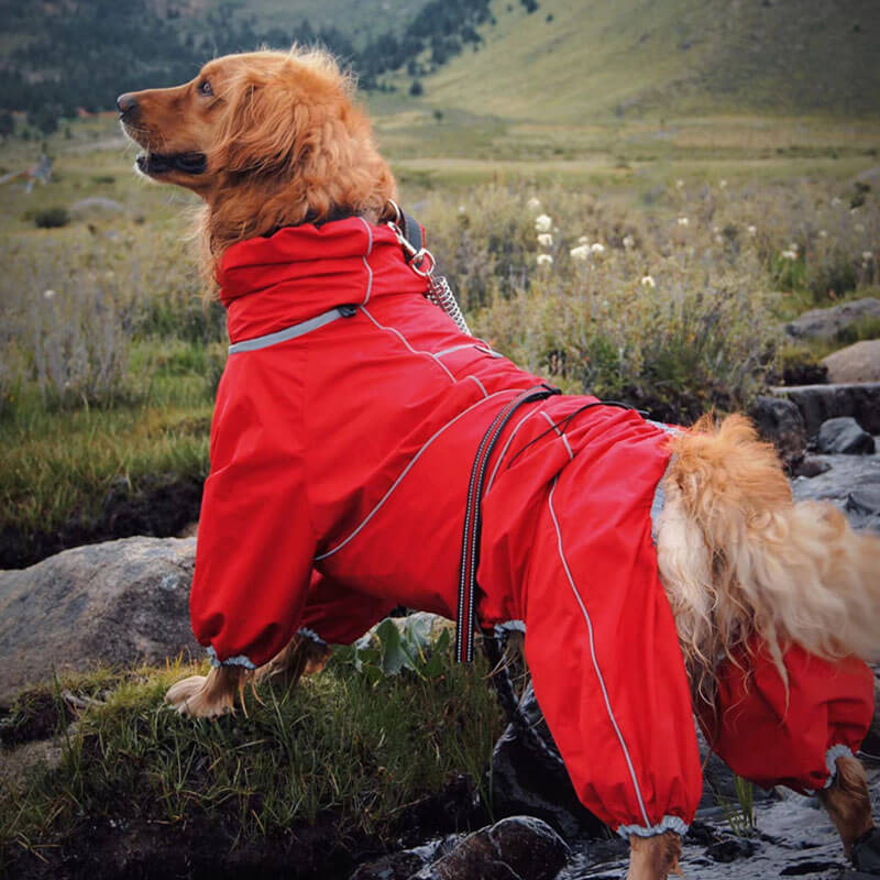 RainPup Outdoor Hunderegenjacke | Wasserdicht & Verstellbar | Perfekt für Große Hunde