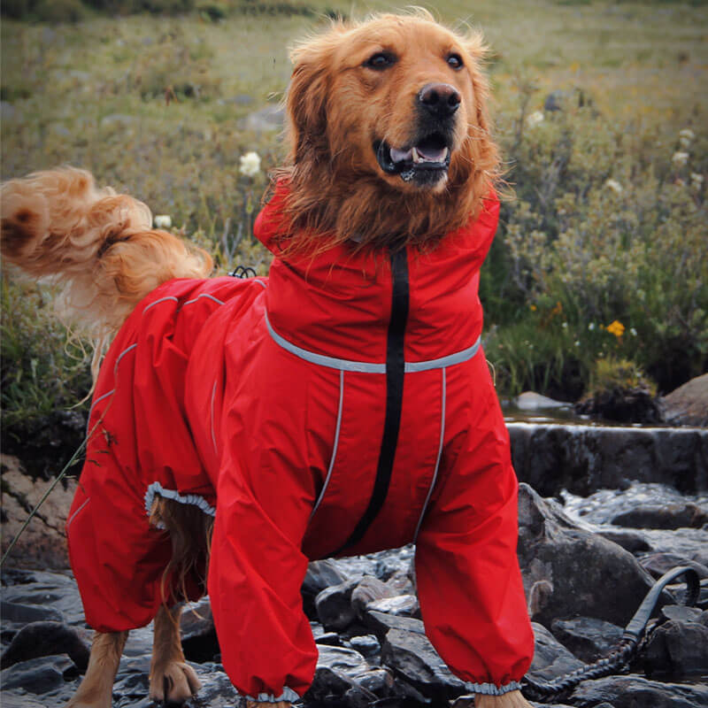RainPup Outdoor Hunderegenjacke | Wasserdicht & Verstellbar | Perfekt für Große Hunde
