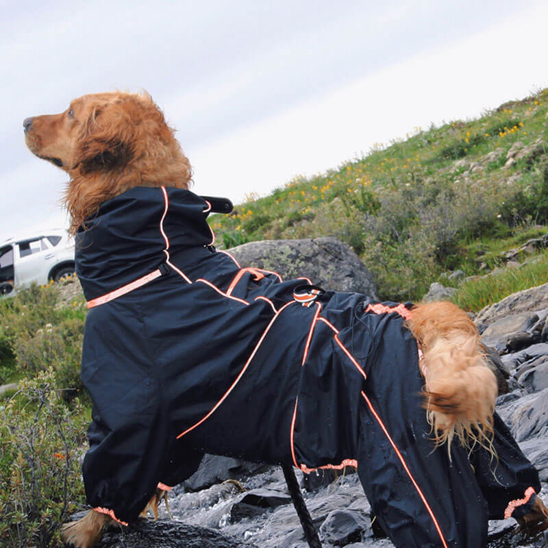 RainPup Outdoor Hunderegenjacke | Wasserdicht & Verstellbar | Perfekt für Große Hunde