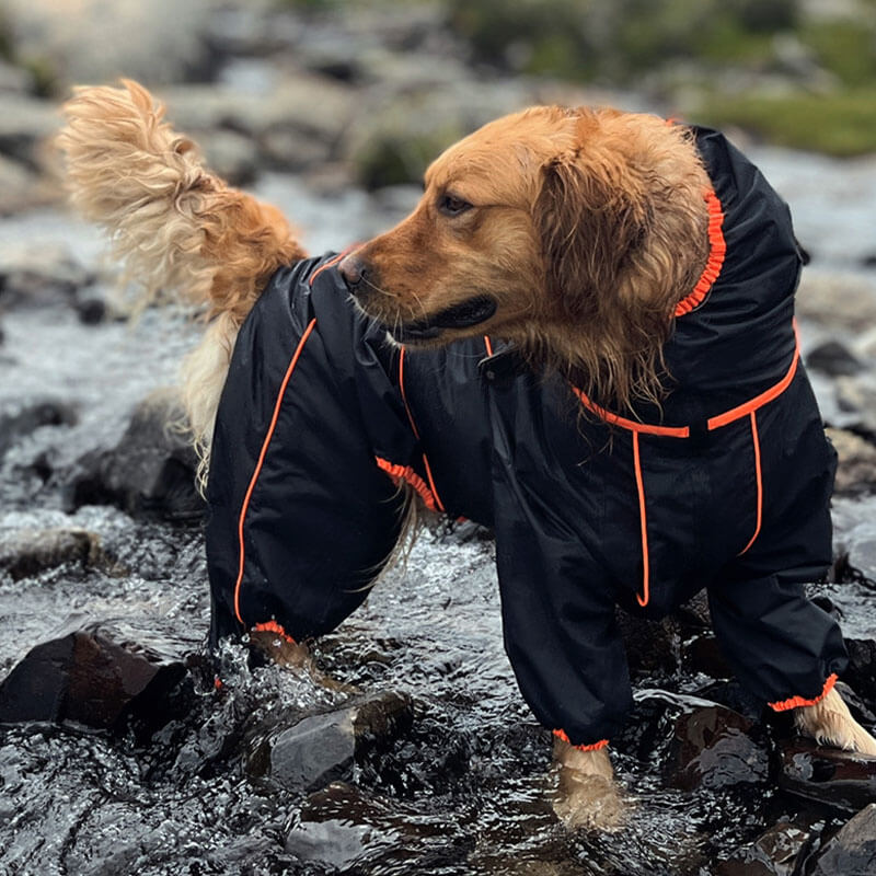 RainPup Outdoor Hunderegenjacke | Wasserdicht & Verstellbar | Perfekt für Große Hunde