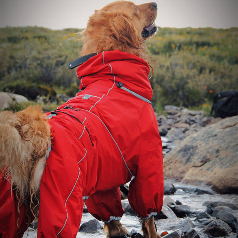 RainPup Outdoor Hunderegenjacke | Wasserdicht & Verstellbar | Perfekt für Große Hunde