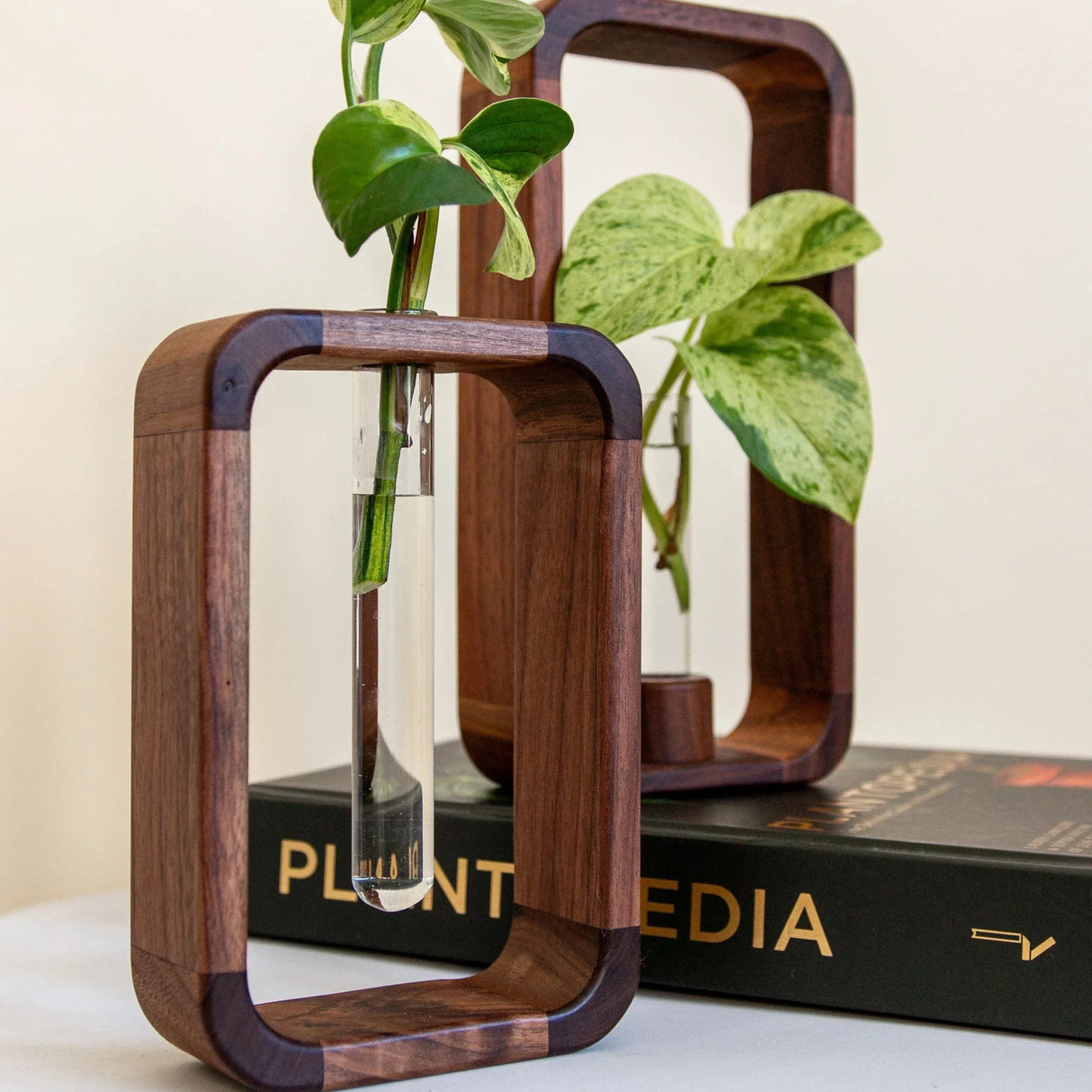 PlantSphere Hohler Pflanzenvermehrer | Dekorative Pflanzenzuchtstation | Perfekt für Zuhause & Büro
