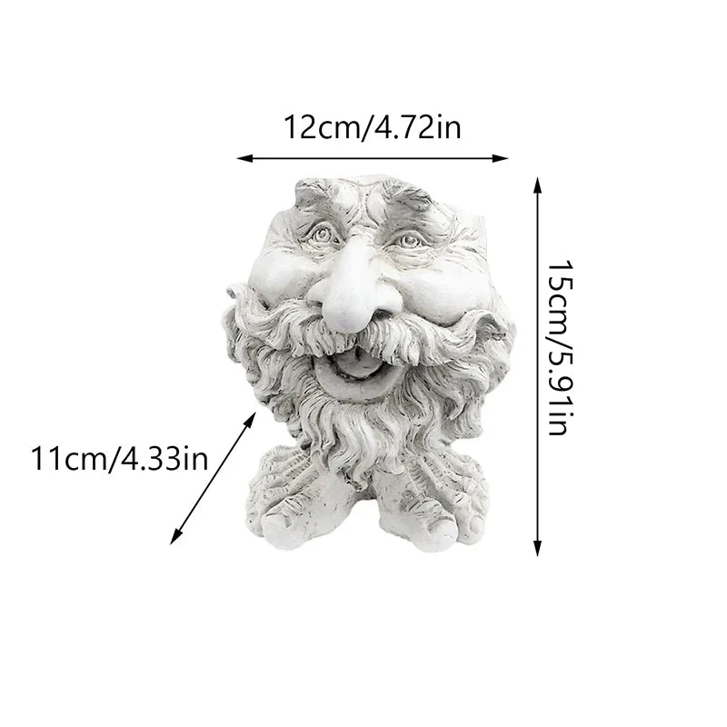 FunnyFace Charakter Pflanzentöpfe | Lustige Blumentöpfe mit Persönlichkeit | Indoor & Outdoor Deko