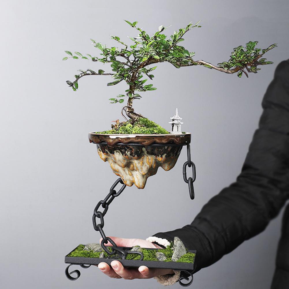Zenovia Hänge-Bonsai-Pflanzgefäß mit Kettenaufhängung | Minimalistisches Design | Indoor & Outdoor